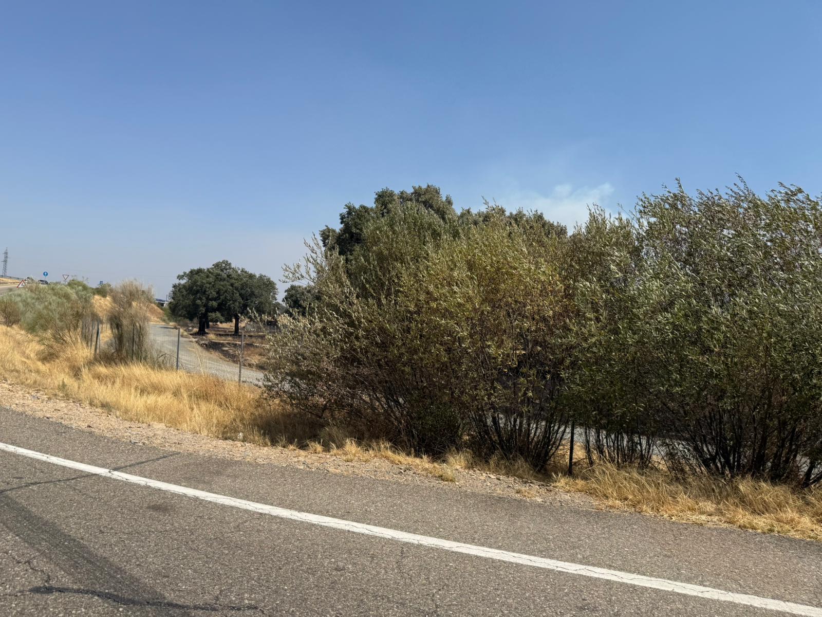 Así ha quedado la comarca de Trasierra tras el incendio de Jarilla