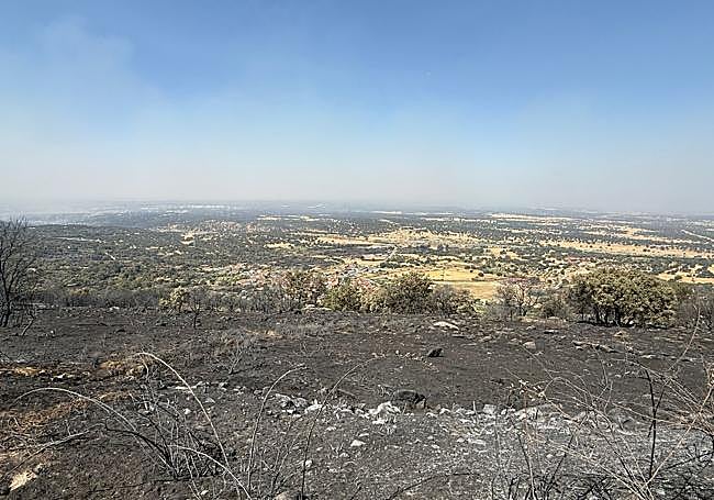 Zonas arrasadas por el incendio de Jarilla.