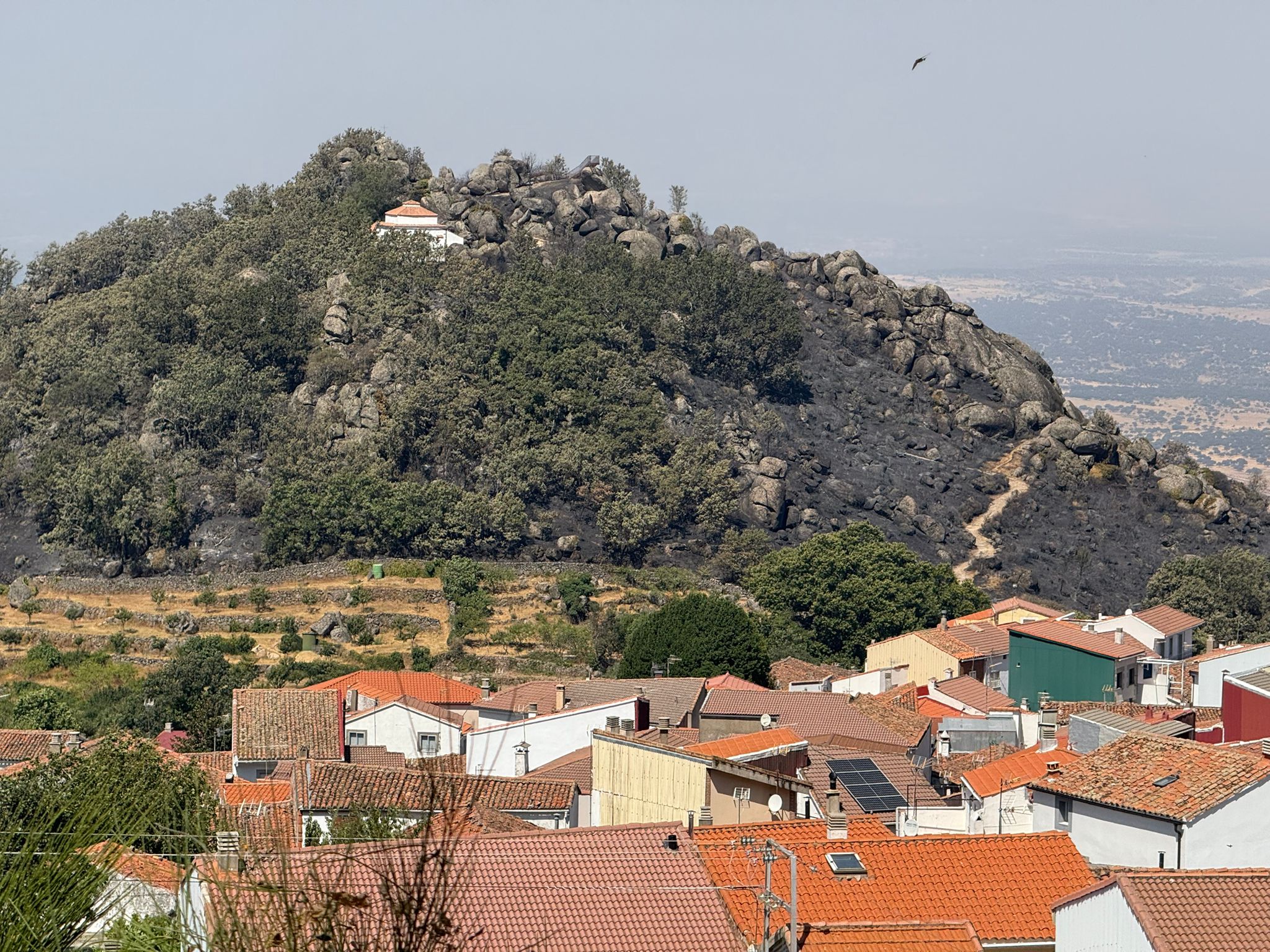 Así ha quedado la comarca de Trasierra tras el incendio de Jarilla