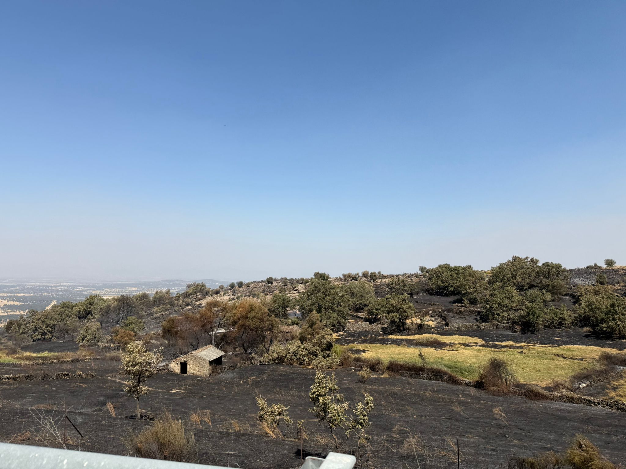 Así ha quedado la comarca de Trasierra tras el incendio de Jarilla