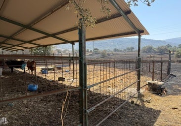 Extremadura recibe la ayuda de cinco comunidades y Portugal para combatir las llamas