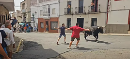 Quinto y último encierro matinal de las fiestas de Torrejoncillo con el toro 'Aguarojo' y sin ningún percance
