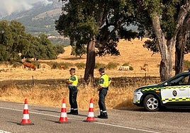Carretera cortada por el fuego en la provincia de Cáceres.