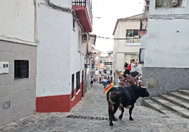 Décimo y último toro de las fiestas, 'Aguarojo'.
