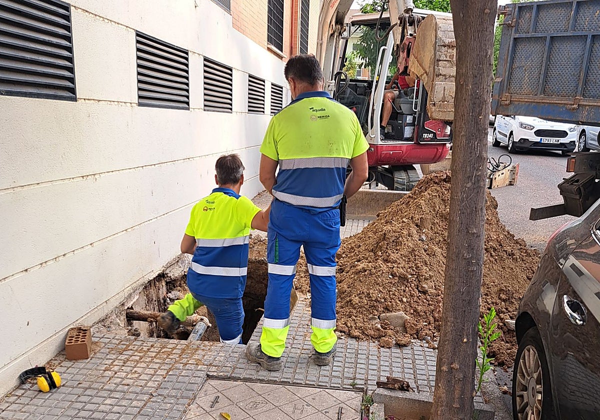Empleados de Aqualia, esta mañana, en el área donde se ha producido la avería en la avenida Vía de la Plata.