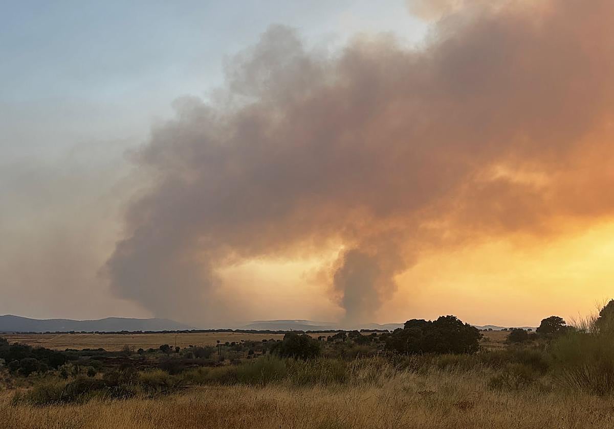 El fuego de Aliseda ha sido provocado por motivos cinegéticos: «Hay que ser absolutamente desalmado»