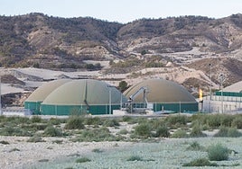Planta ubicada en la provincia de Murcia.