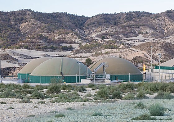 Planta ubicada en la provincia de Murcia.