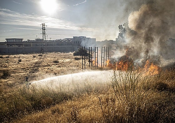 El incendio provocado en las inmediaciones de Puente Real.