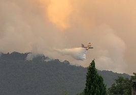 Un avión echa la carga de agua en el incendio de Jarilla.