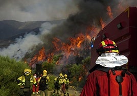Bomberos forestales y militares de la UME luchando contra el fuego de Jarilla.