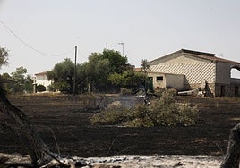 Foto de la semana pasada del incendio en Casar de Cáceres, ya controlado y que se aproximó a las viviendas.