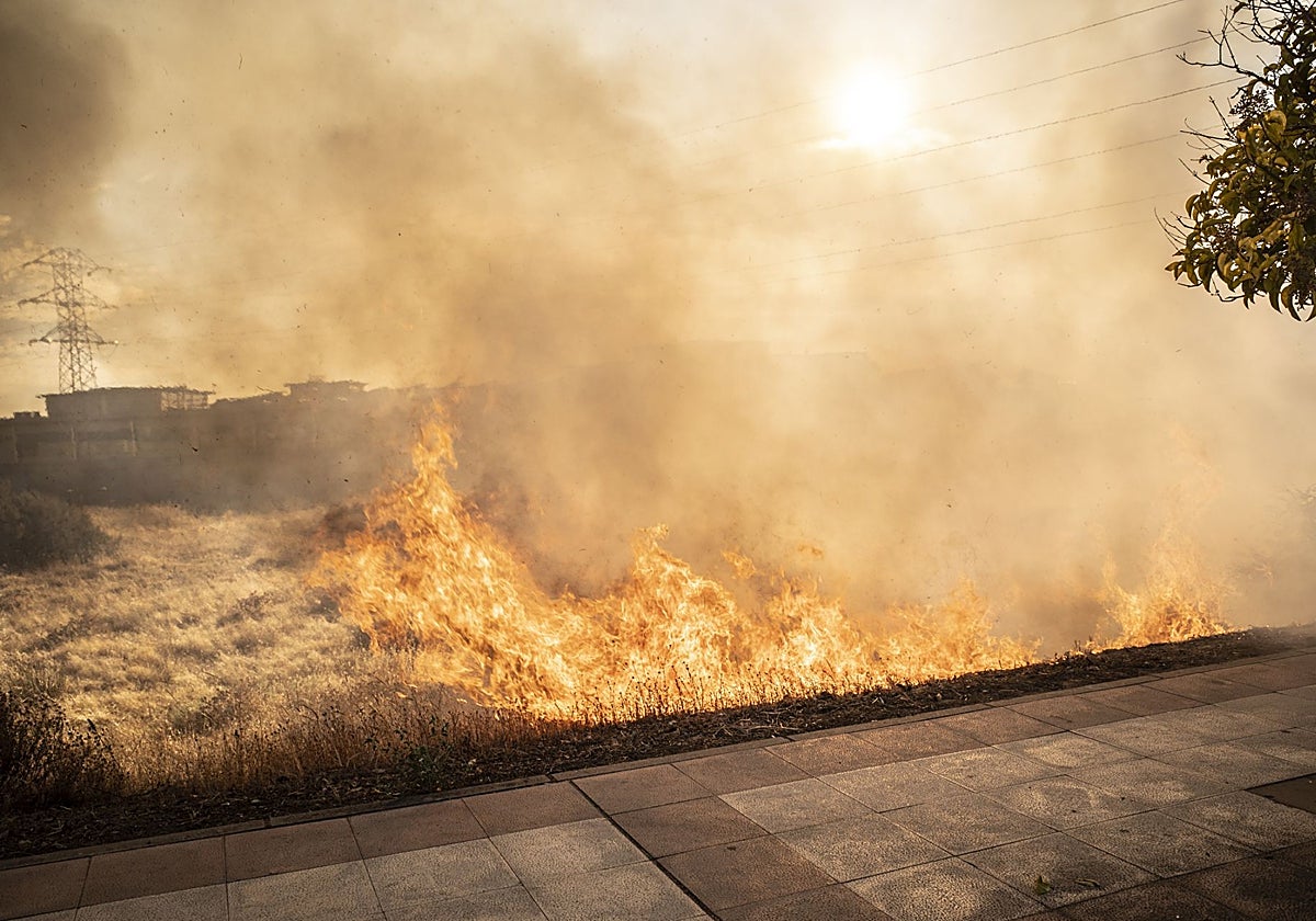 Arde el pasto junto al Puente Real en la tarde del lunes 18 de agosto.