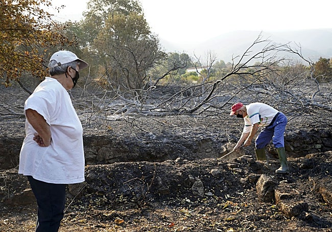 Vecinos de Jarilla (Cáceres) este miércoles en los alrededores del pueblo.