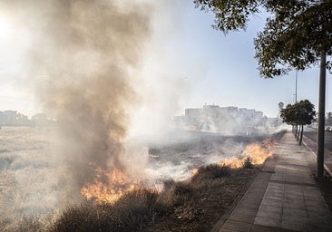 La Policía de Badajoz solo achaca el incendio del Puente Real al detenido el lunes de momento