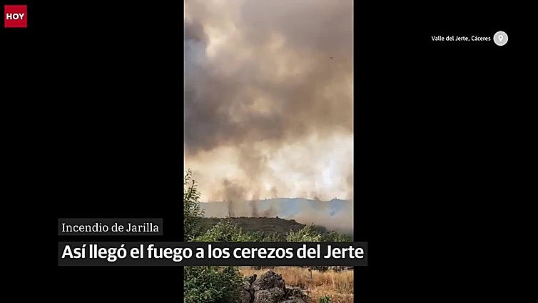 Así llegó el fuego a los cerezos del Jerte