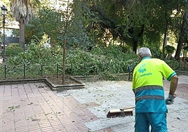 Un operario amontona parte de las hojas desprendidas tras el desprendimiento y la poda.