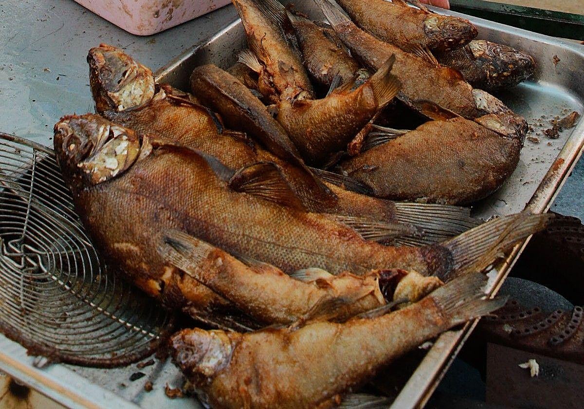 Día de la Tenca 2025: horarios, actividades y concierto de Soraya Arnelas