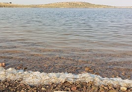 Orilla del embalse de Alange, sobre el río Matachel, el pasado jueves. Se encuentra casi al 33% de su capacidad, con 279 hectómetros cúbicos.