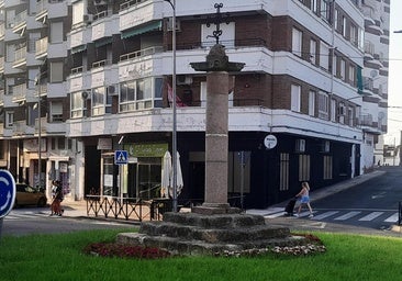 Sorprendida por la Policía Local cuando sustraía plantas en una rotonda de Navalmoral