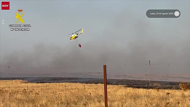 Un incendio de pastos al norte de Cáceres obliga a cortar la carretera del Casar