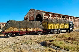 Trailer con heno para repartir a los ganaderos