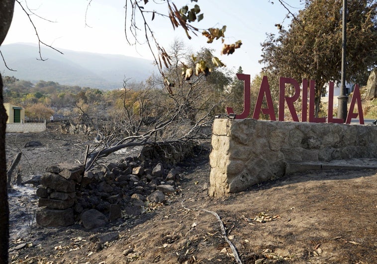El Gobierno incluye como zonas catastróficas los daños ocasionados por seis incendios en Extremadura