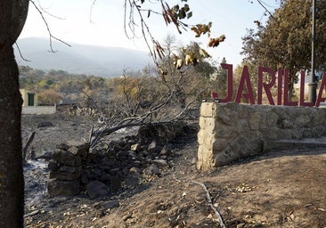 Guardiola anuncia ayudas de 3.000 euros por hectárea, 100 por colmena y compensaciones por cancelaciones turísticas