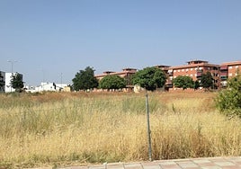 Estado actual de la parcela a la que alude la plataforma en su nota