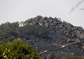 Alrededores del mirador de Cabezabellosa tras el incendio de Jarilla.