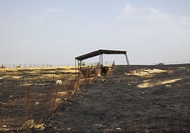 Superficie quemada por el incendio registrado en Casar de Cáceres.