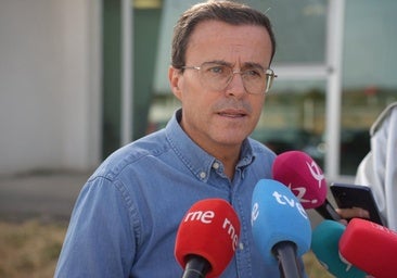 Gallardo pide la Medalla de Extremadura para los trabajadores del Plan Infoex