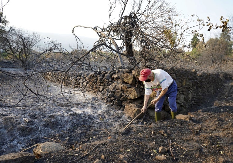 Los afectados por los incendios en Extremadura podrán pedir ayudas de más de 9.000 euros tras ser zonas catastróficas