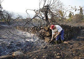 Área quemada en el municipio de Jarilla, que ha sido el fuego más grande de la historia de Extremadura.
