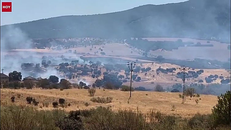 Medios aéreos y terrestres del Infoex luchan contra un incendio en Don Benito
