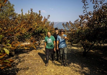 Ayudas directas y préstamos: las medidas económicas aprobadas por la Junta para paliar los daños por el fuego