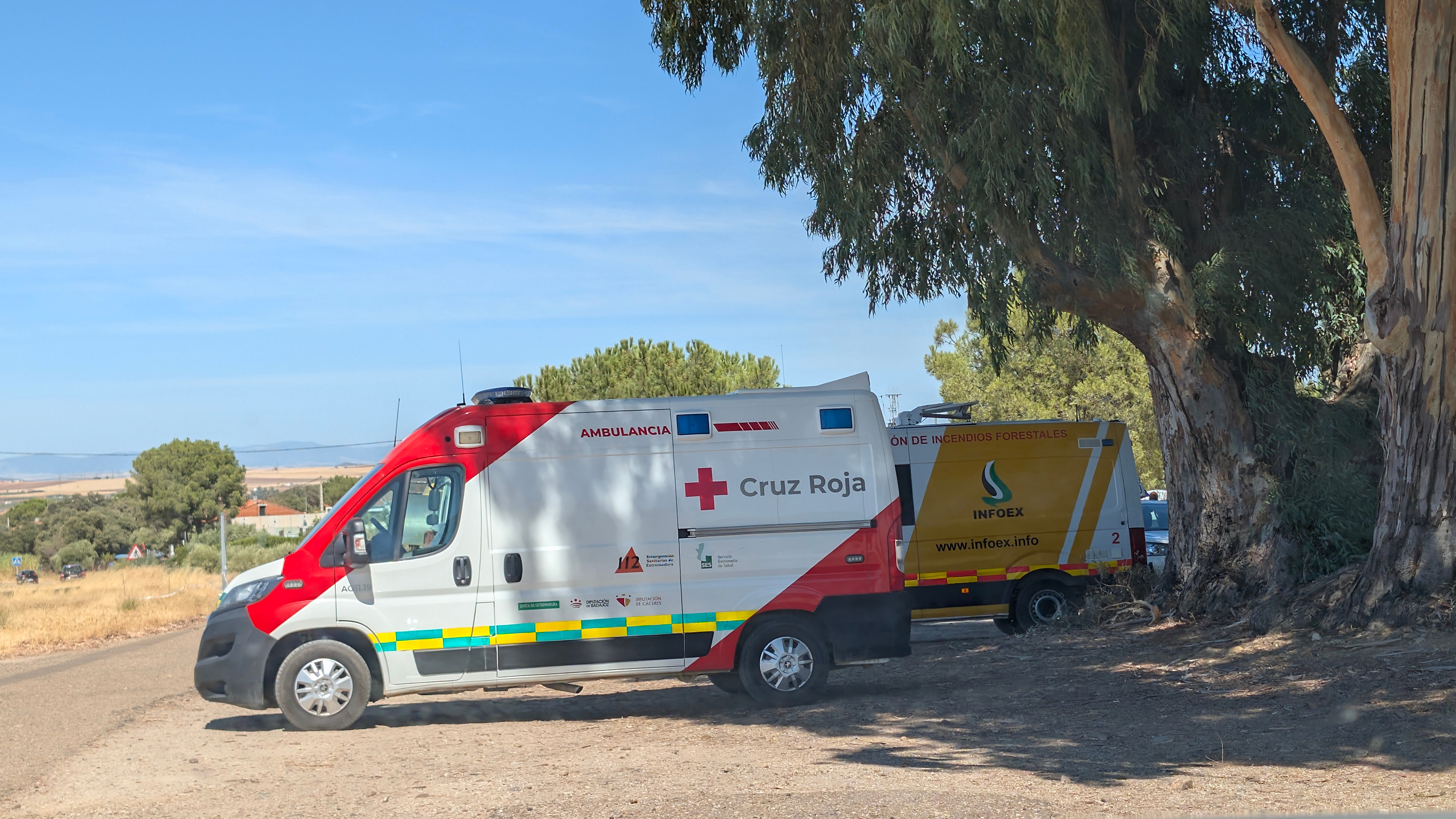 El incendio forestal de Don Benito, en imágenes