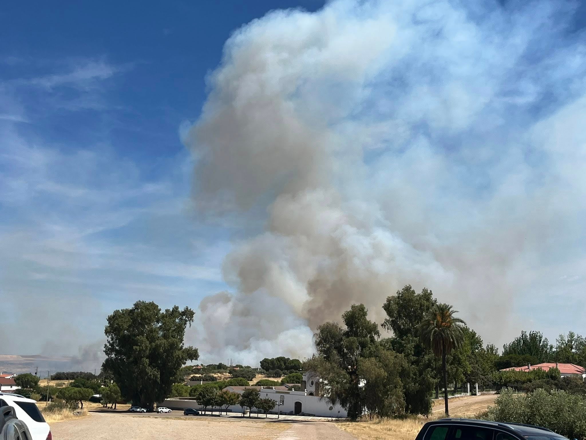 El incendio forestal de Don Benito, en imágenes