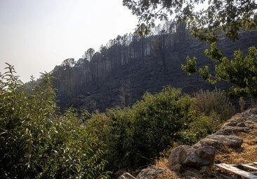 Los afectados por el incendio en el norte de Extremadura explican su situación a los Reyes