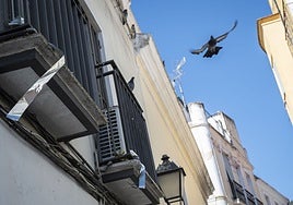 Las cintas brillantes que se han instalado en muchas viviendas.