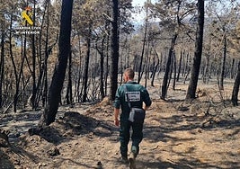 Cuatro detenidos y seis investigados por 17 incendios en la provincia de Cáceres en los últimos meses