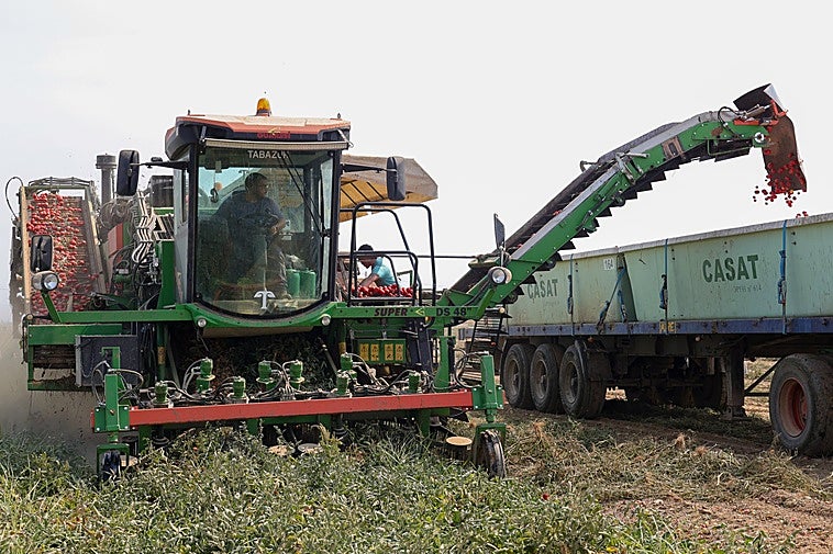 Recogida de producto en una finca cercana a Medellín.