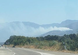 El Infoex da por estabilizada una reactivación del incendio de Jarilla