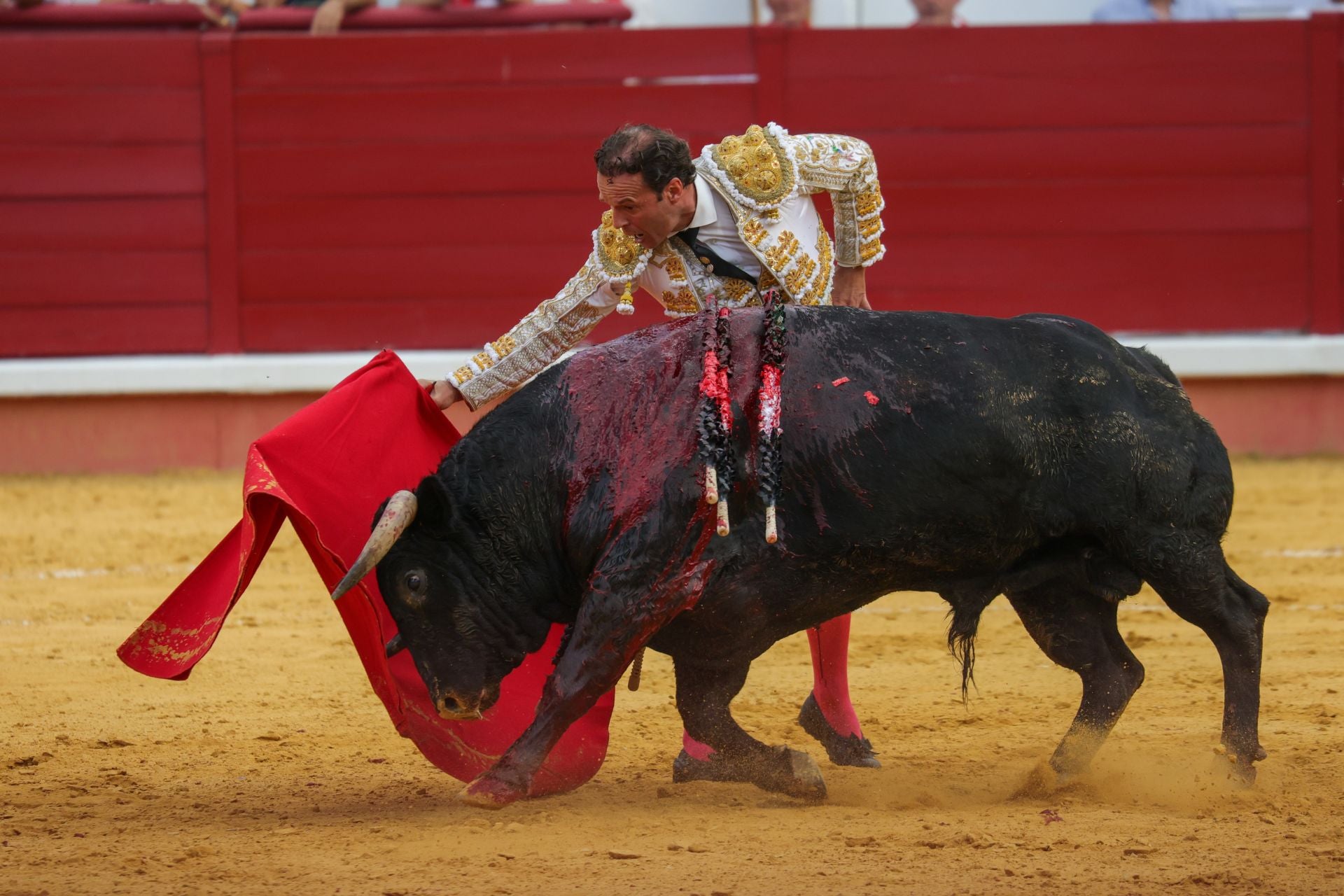 Fotos | Así fue la tarde de toros en Don Benito