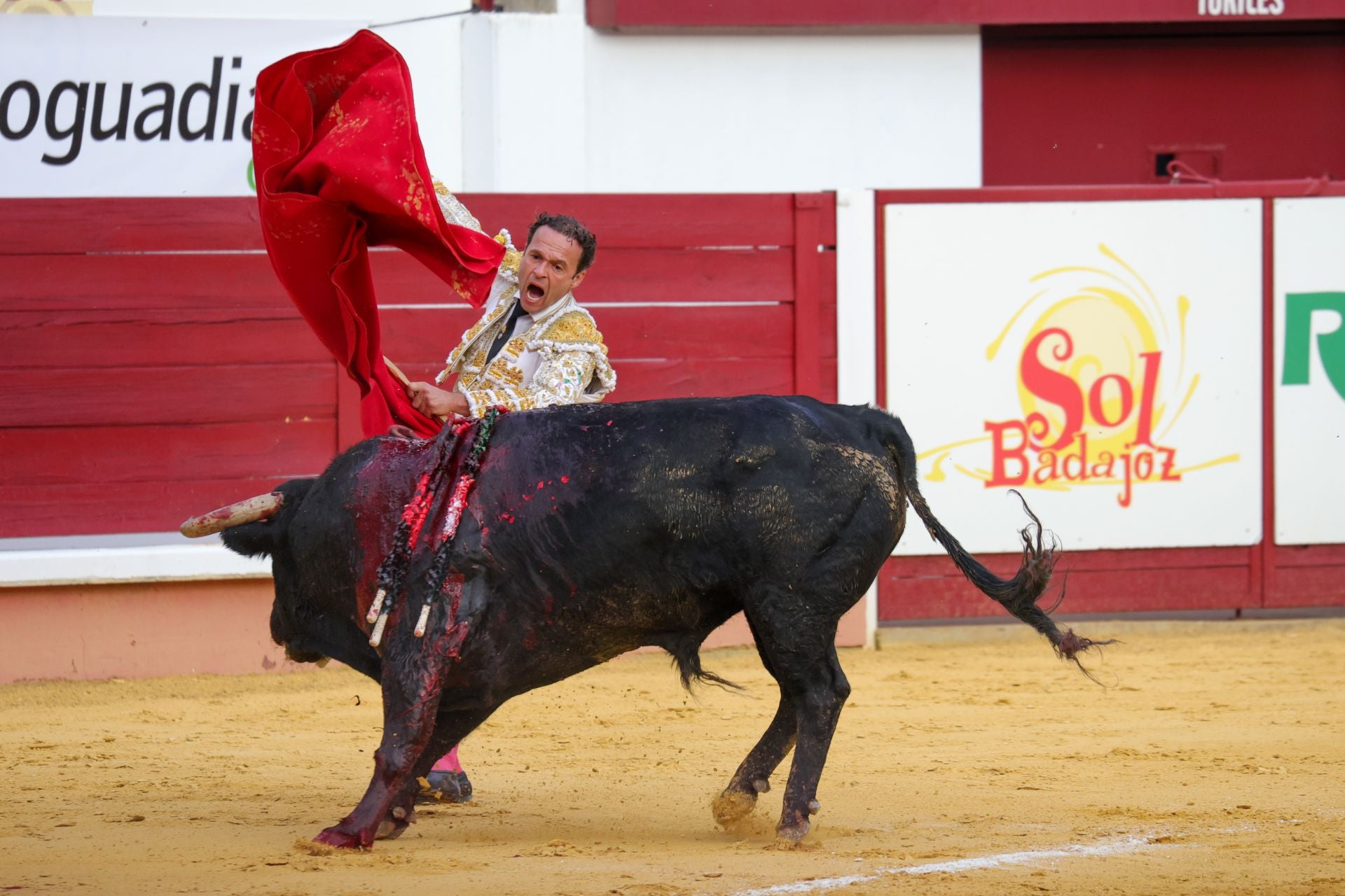 Fotos | Así fue la tarde de toros en Don Benito