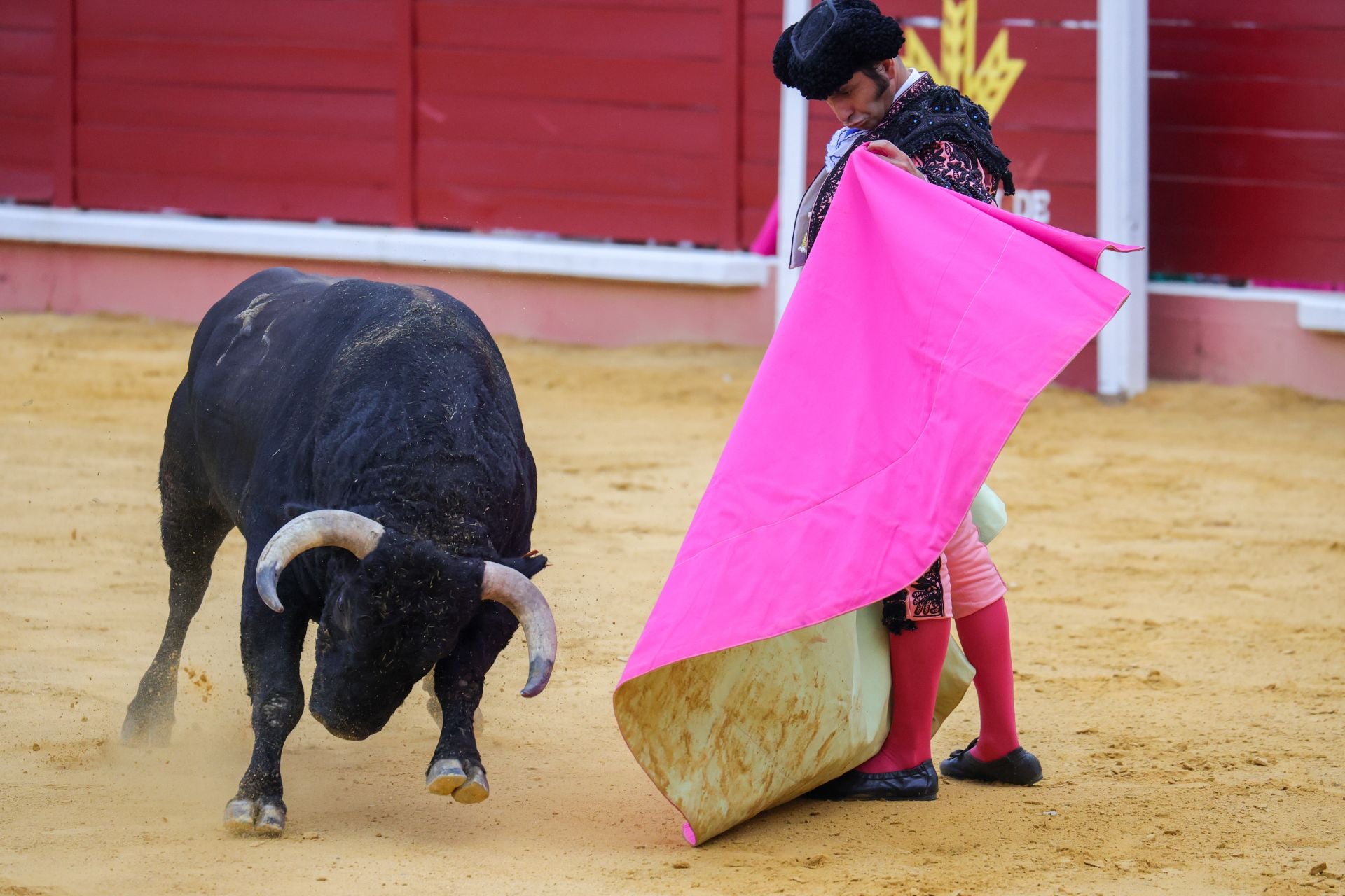 Fotos | Así fue la tarde de toros en Don Benito