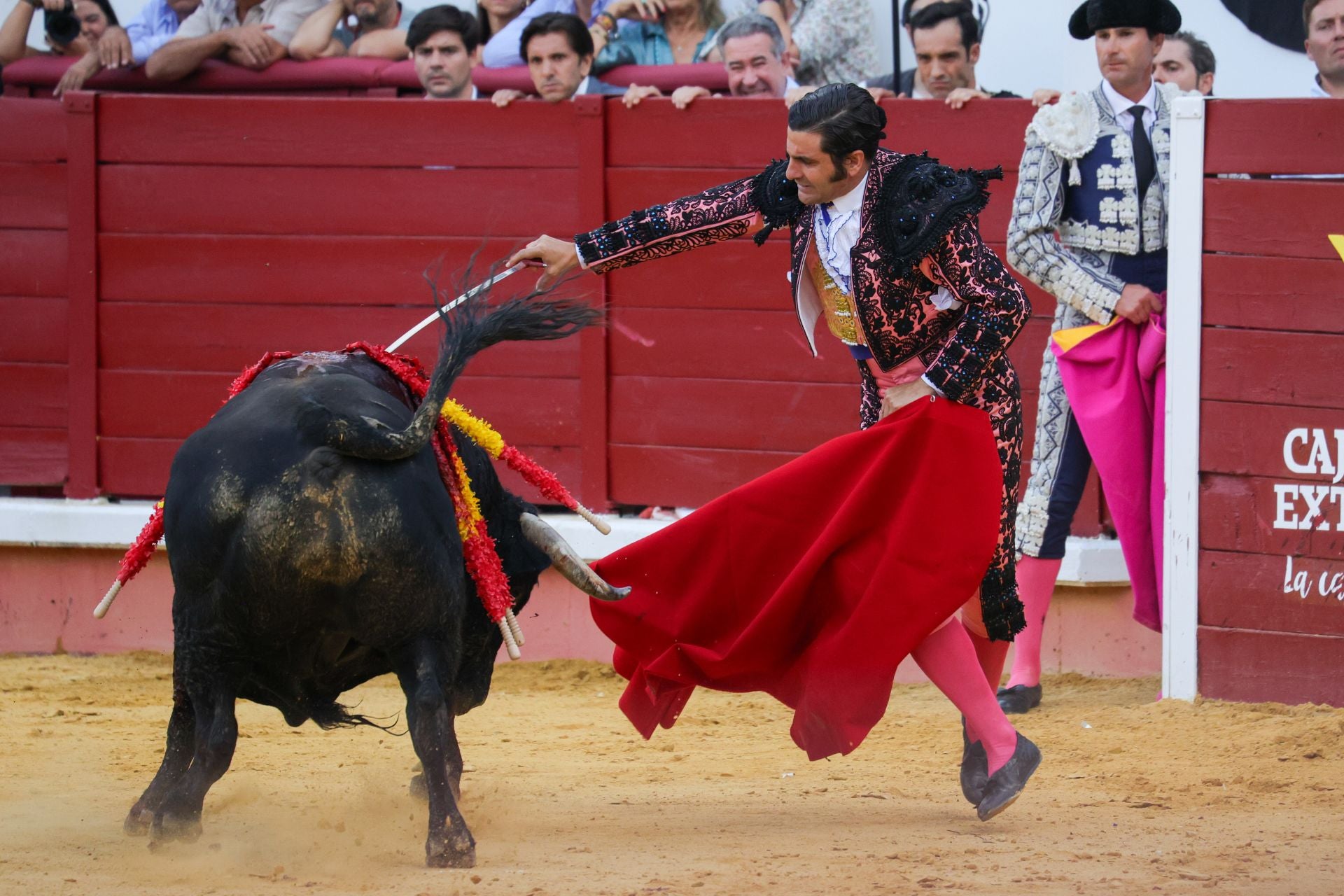 Fotos | Así fue la tarde de toros en Don Benito