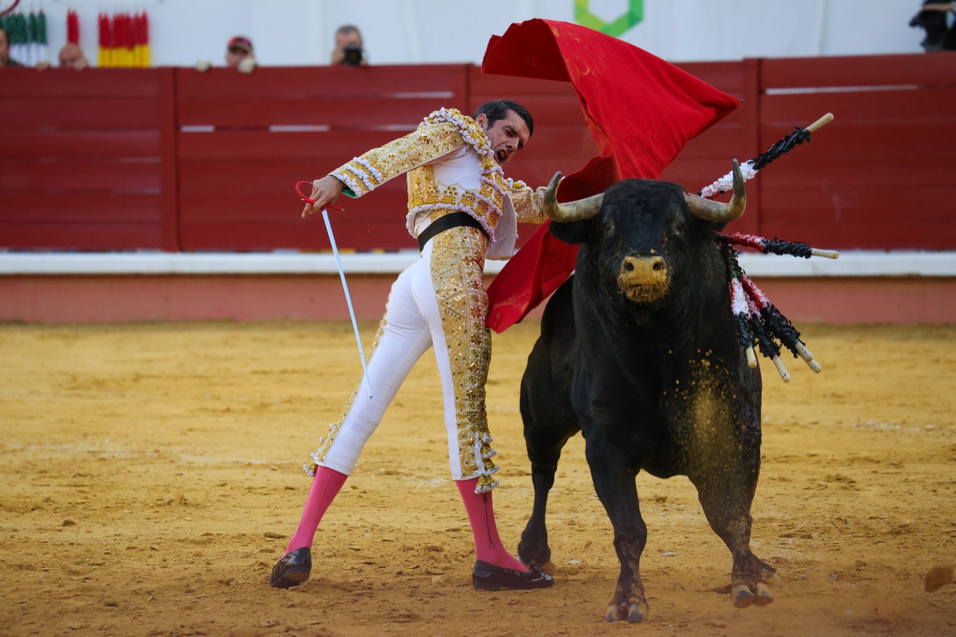 Fotos | Así fue la tarde de toros en Don Benito