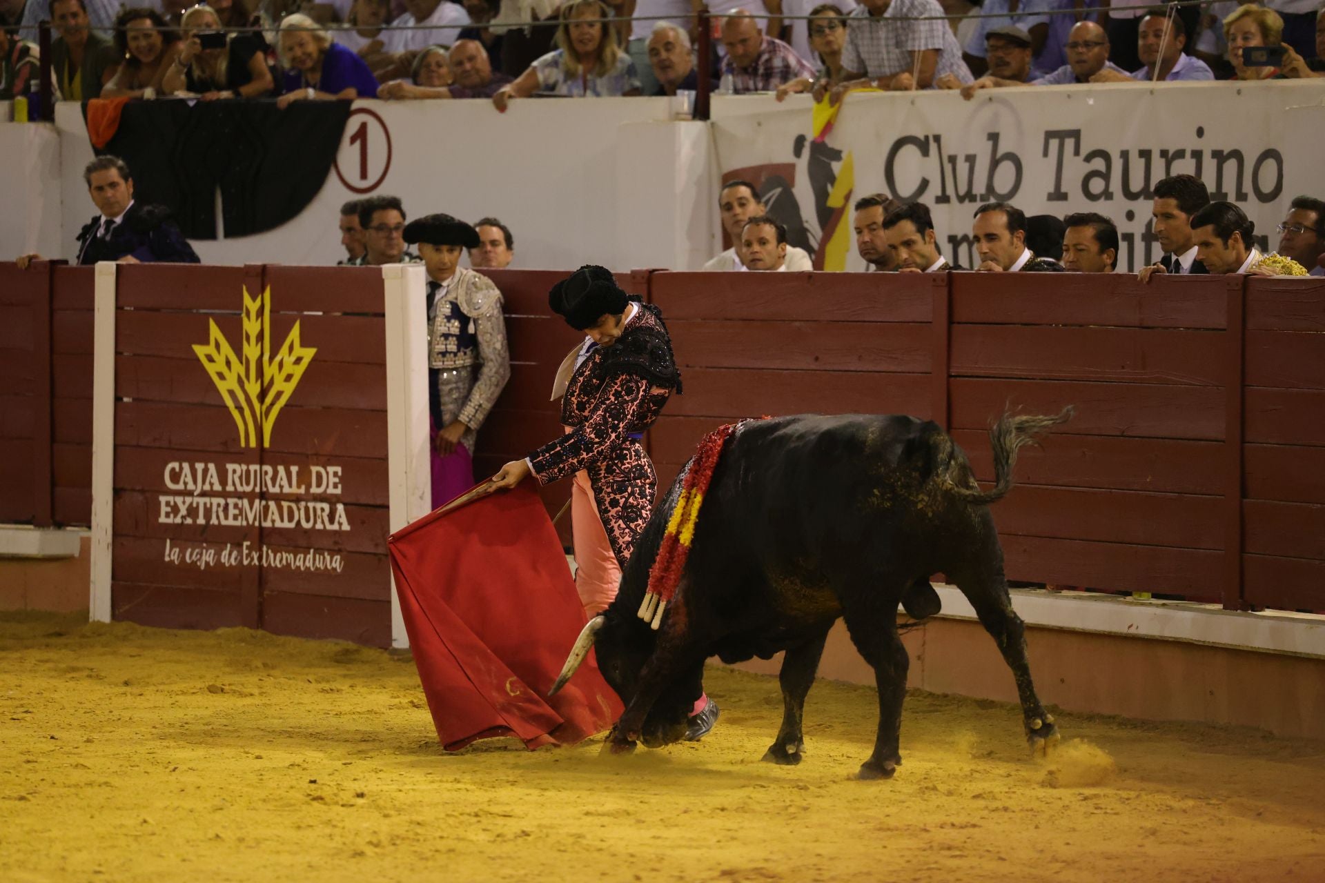 Fotos | Así fue la tarde de toros en Don Benito