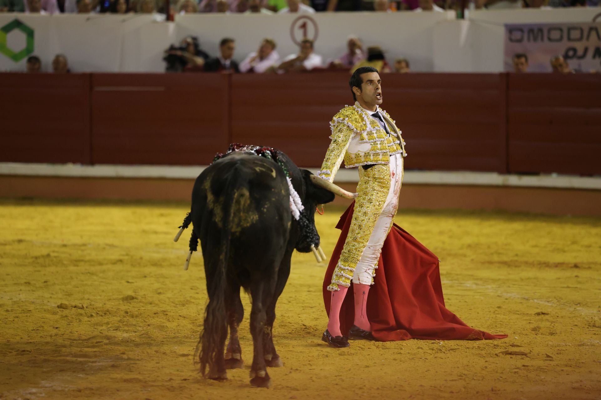 Fotos | Así fue la tarde de toros en Don Benito